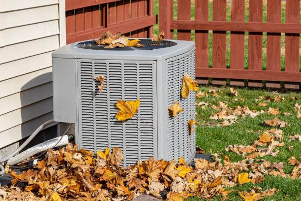 Best HVAC Tune-Up Services  in Williamsport, IN